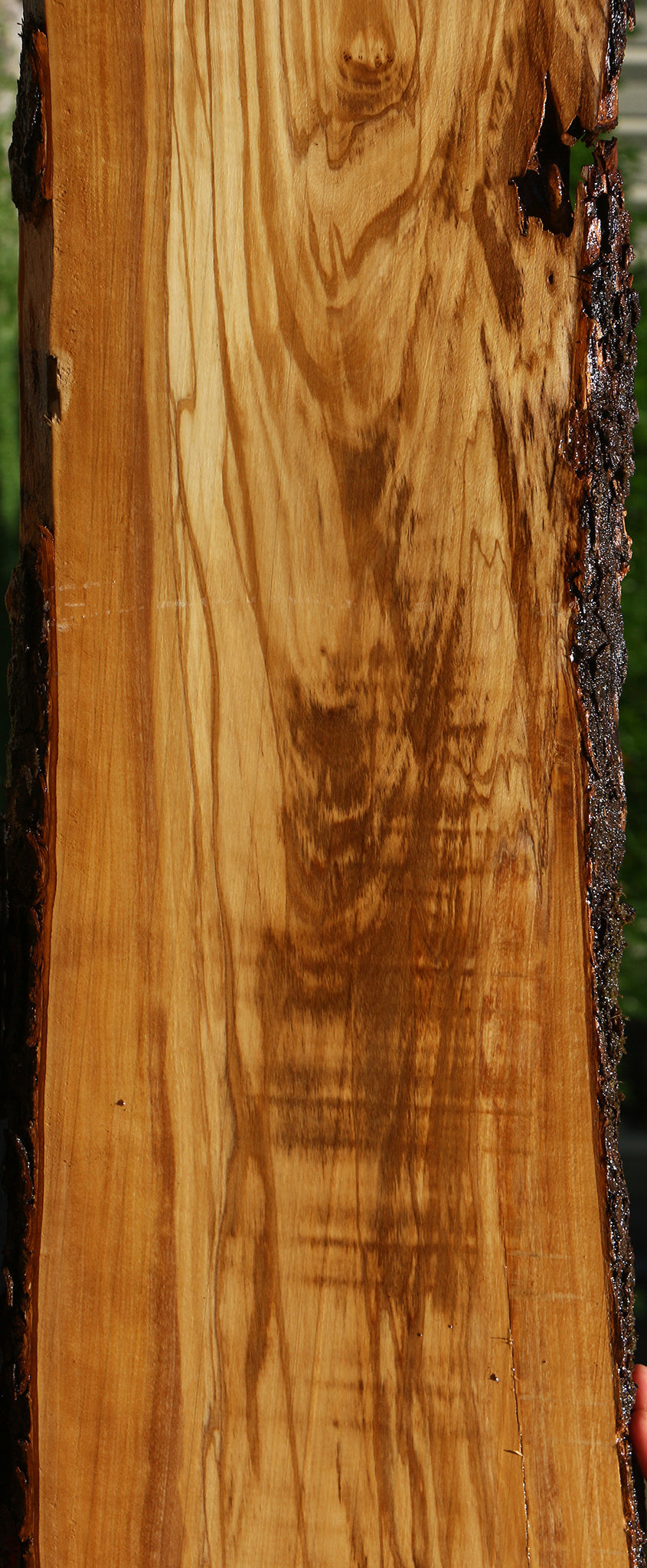 Figured Italian Olive Live Edge Lumber