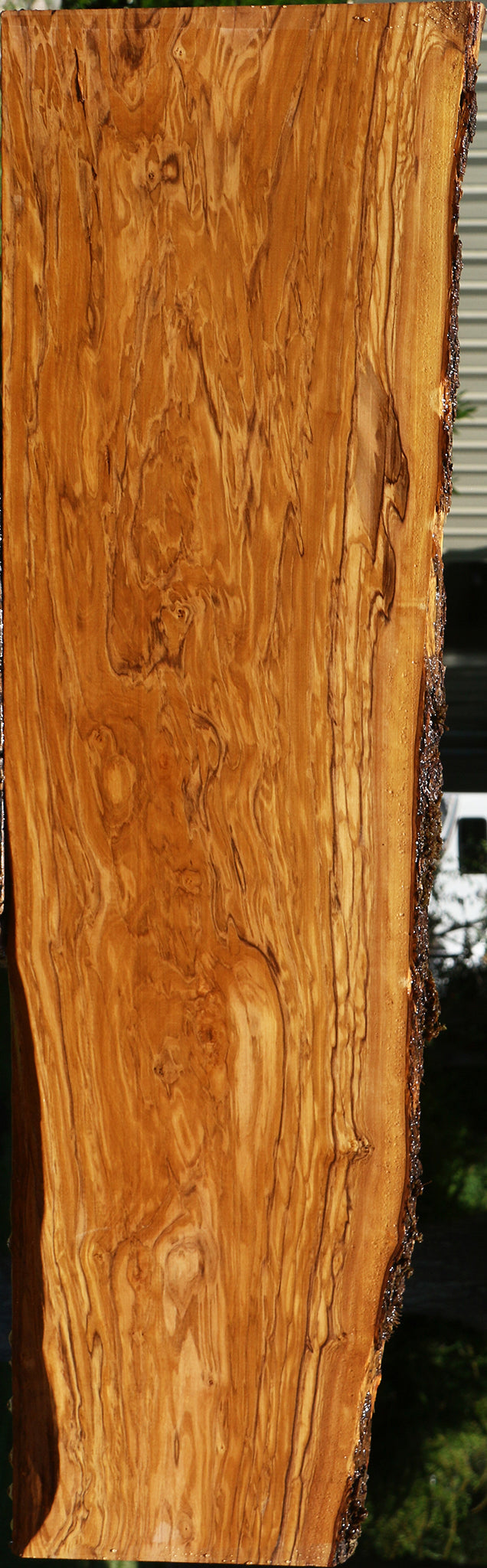 Extra Fancy Italian Olive Live Edge Lumber