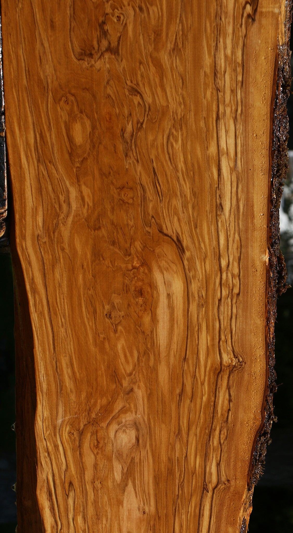 Extra Fancy Italian Olive Live Edge Lumber