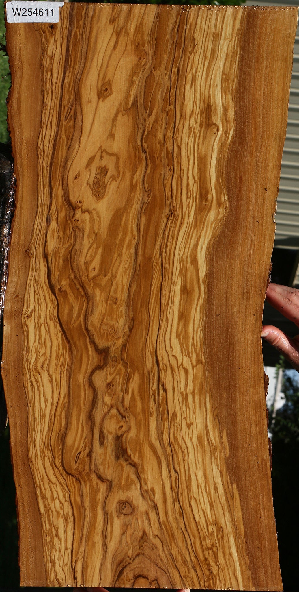 Extra Fancy Italian Olive Live Edge Lumber