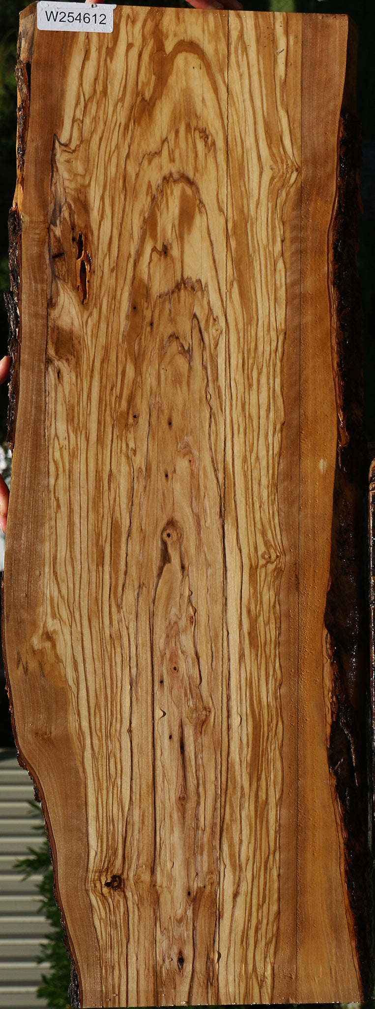 Figured Rustic Italian Olive Live Edge Lumber