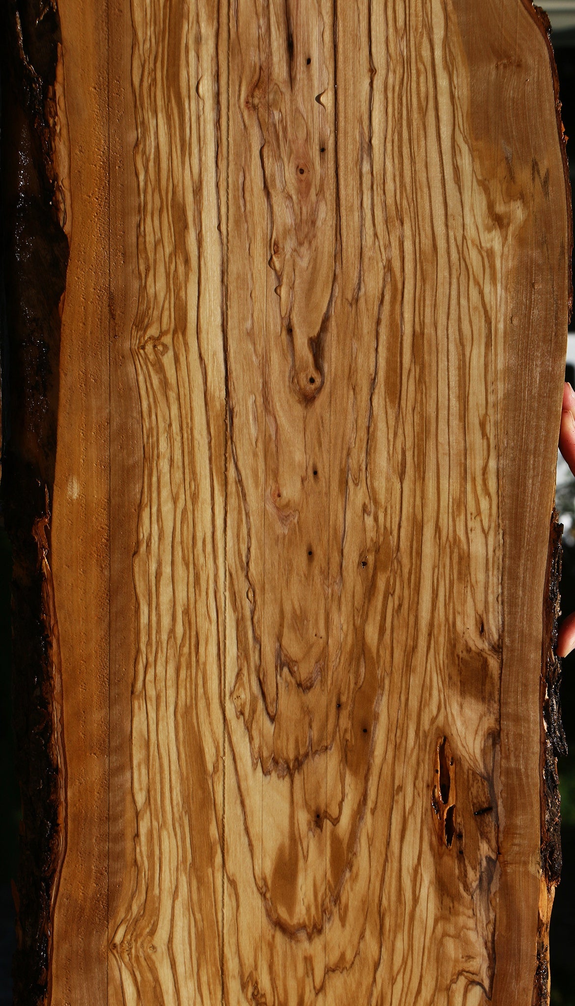 Figured Rustic Italian Olive Live Edge Lumber
