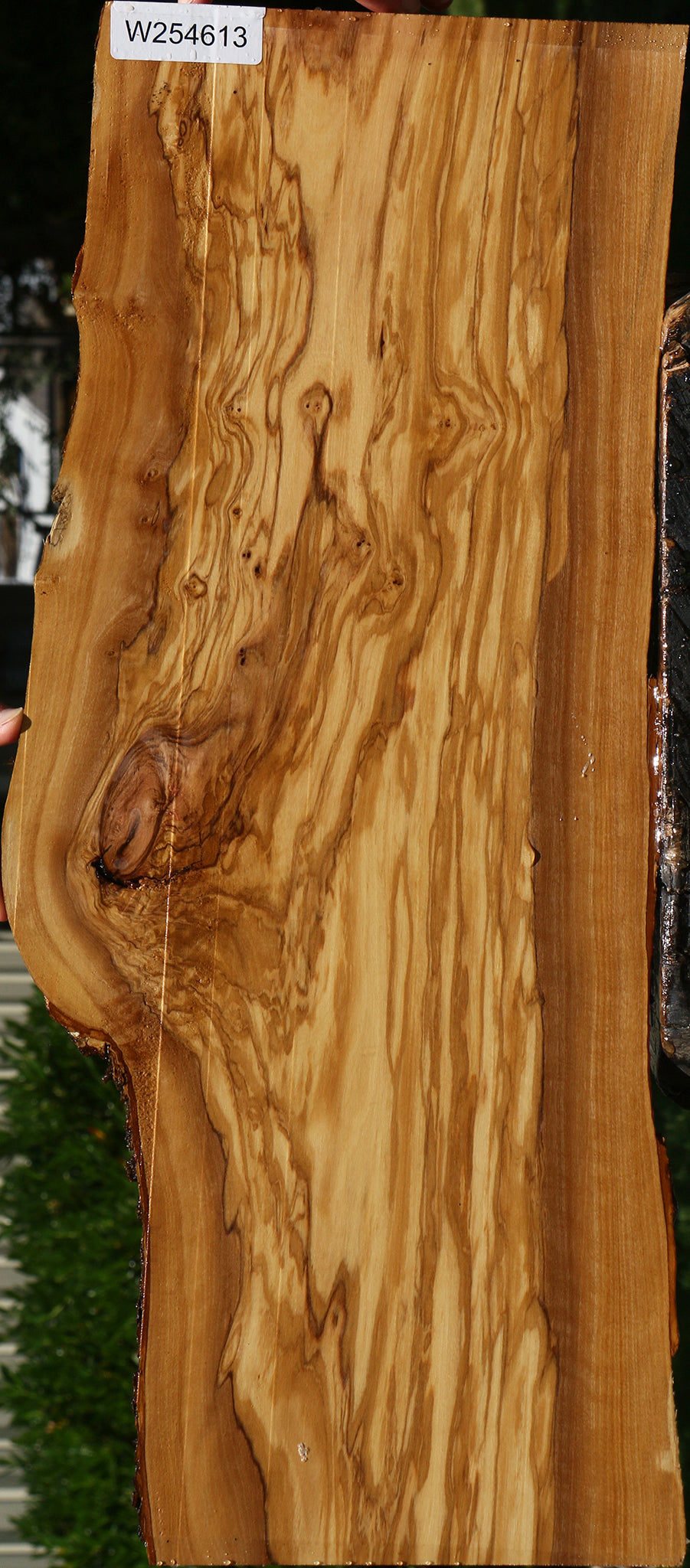Extra Fancy Italian Olive Live Edge Lumber
