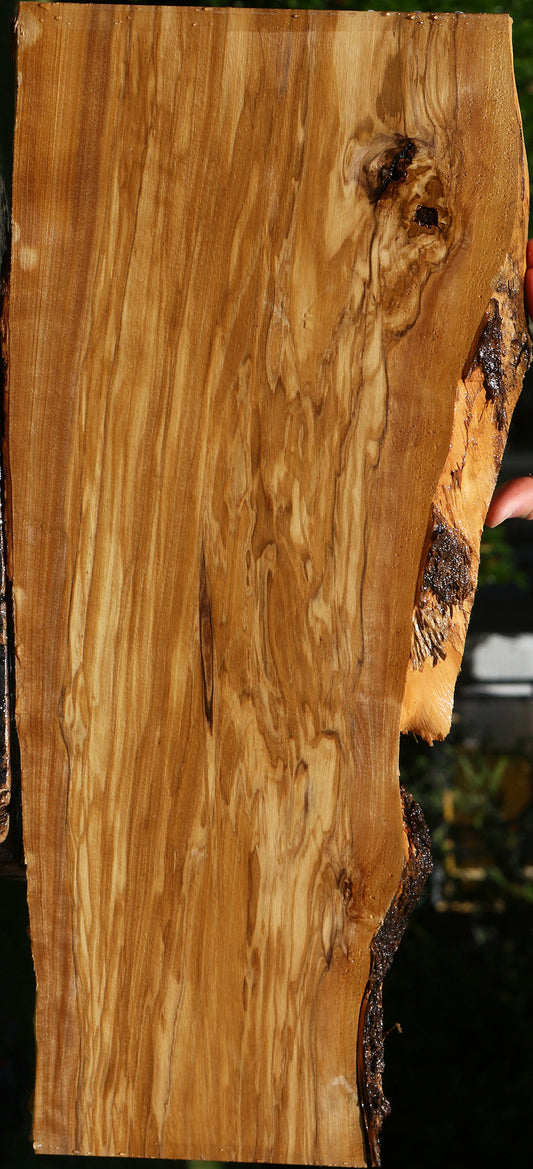 Figured Italian Olive Live Edge Lumber