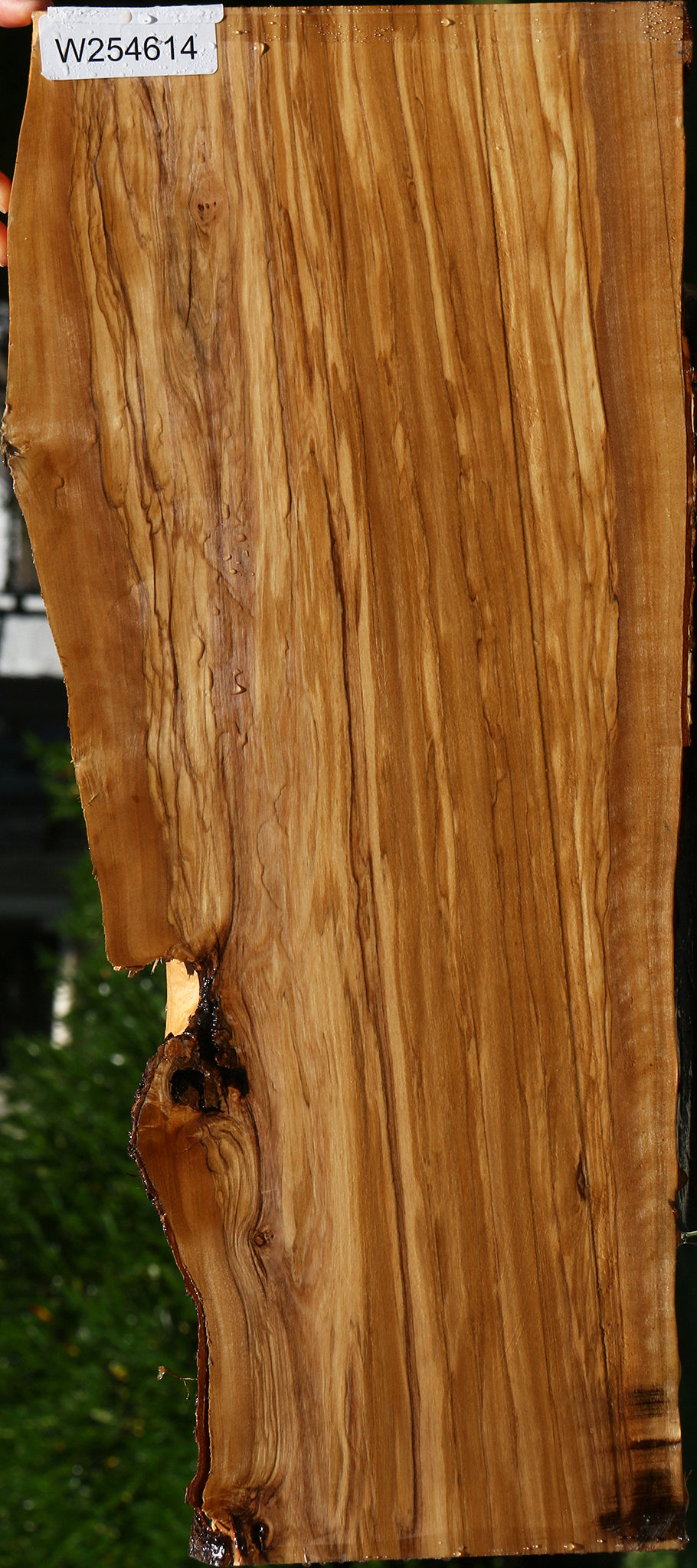 Figured Italian Olive Live Edge Lumber