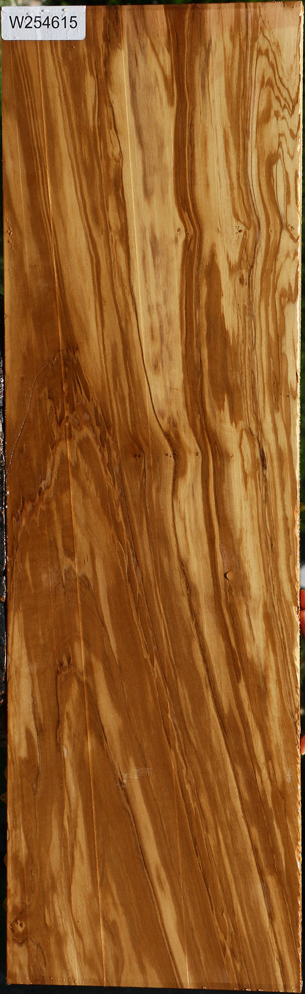 Figured Italian Olive Lumber