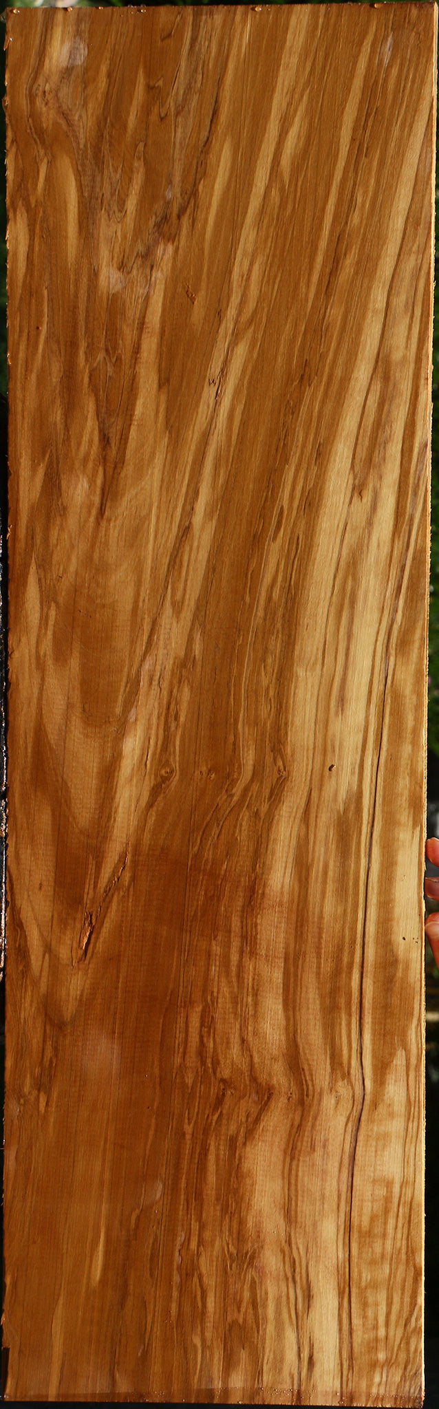 Figured Italian Olive Lumber