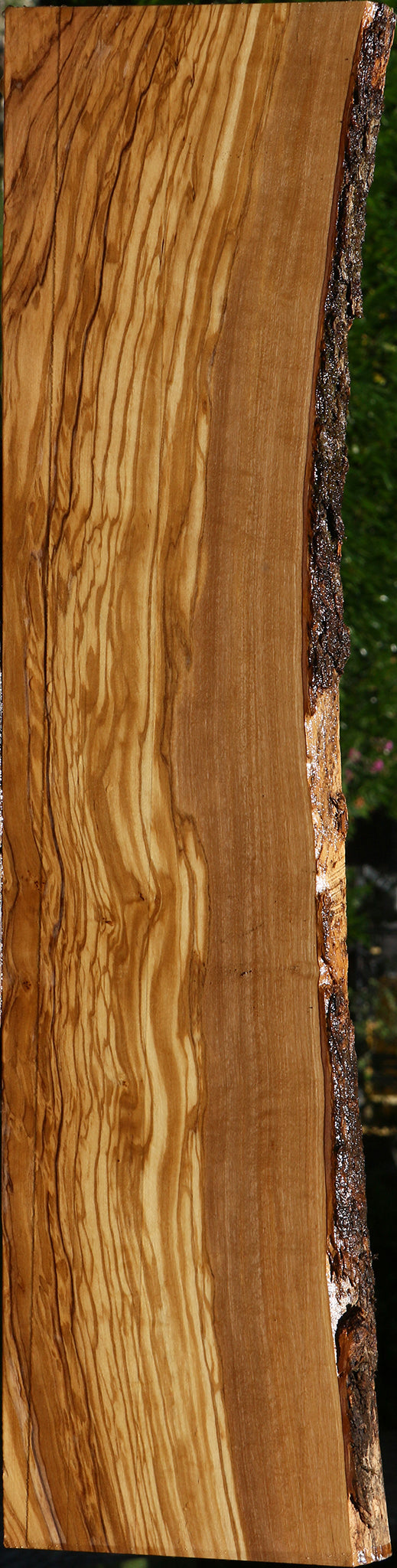 Extra Fancy Italian Olive Live Edge Lumber