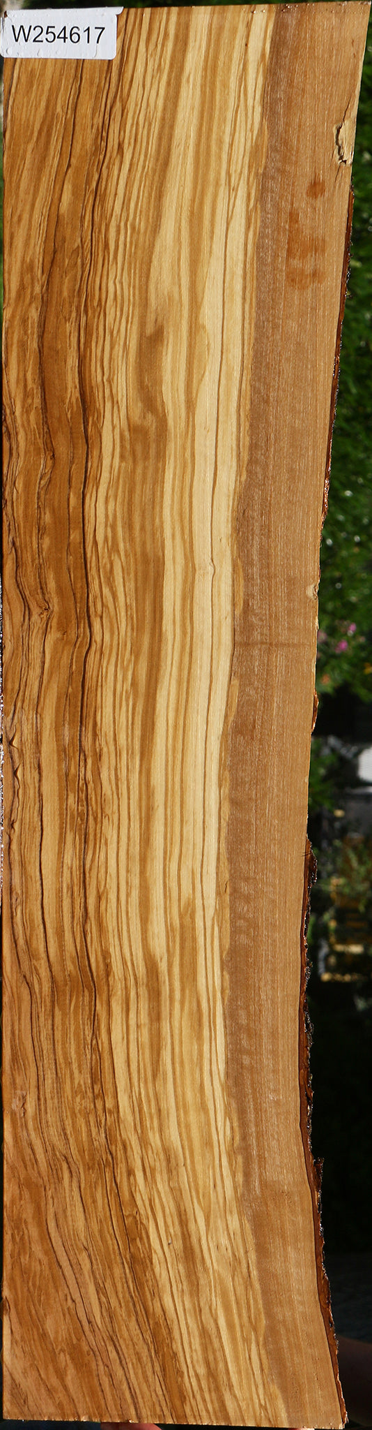 Extra Fancy Italian Olive Live Edge Lumber