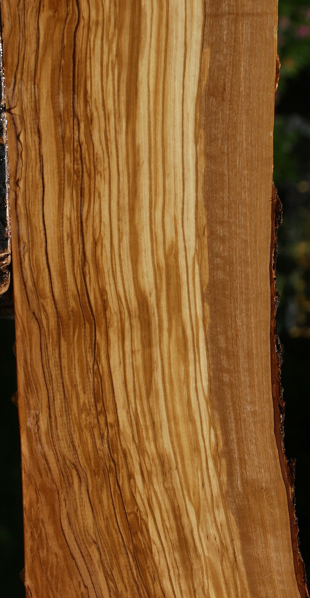 Extra Fancy Italian Olive Live Edge Lumber
