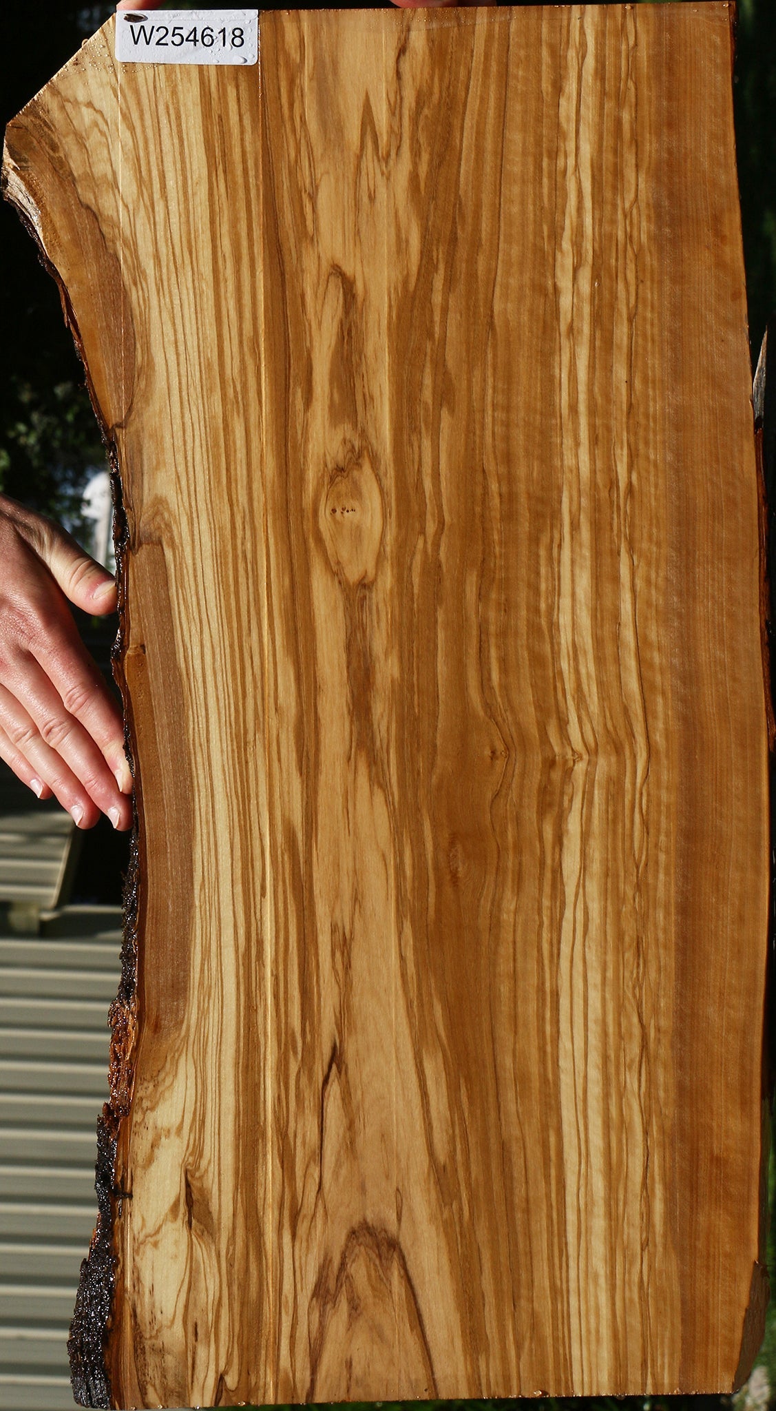 Extra Fancy Italian Olive Live Edge Lumber