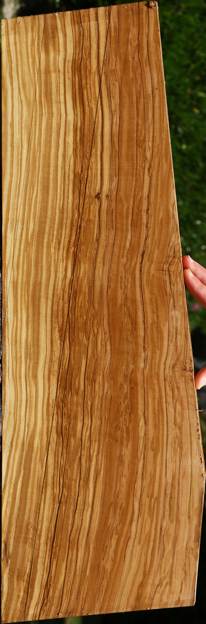 Figured Italian Olive Lumber