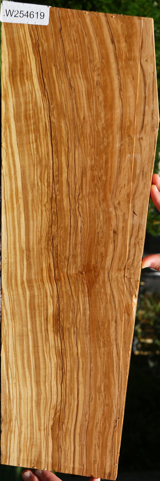 Figured Italian Olive Lumber