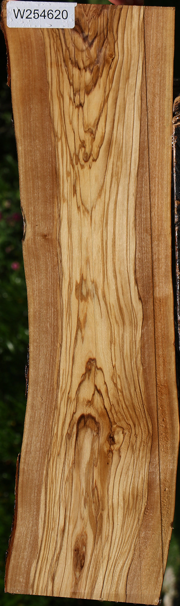 Italian Olive Live Edge Lumber