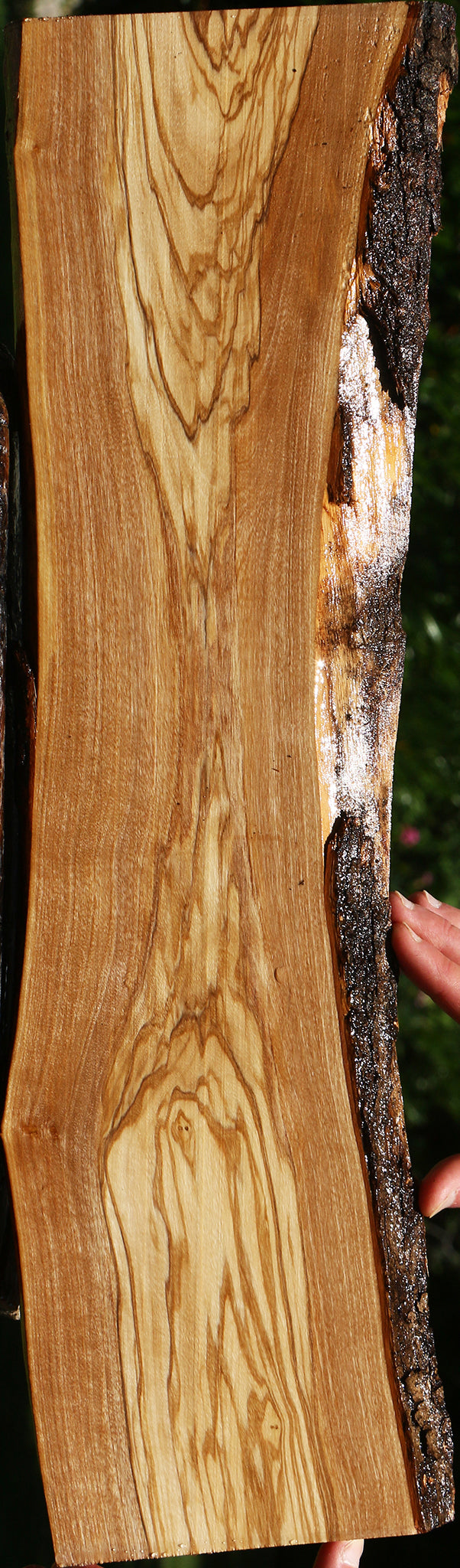 Italian Olive Live Edge Lumber