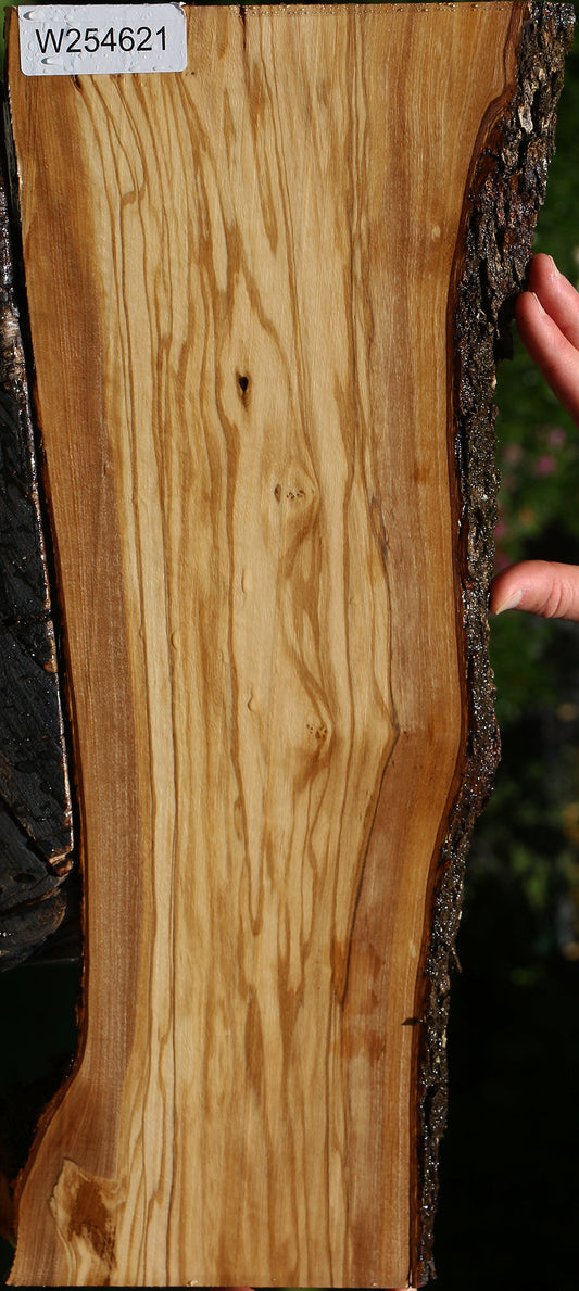 Italian Olive Live Edge Lumber