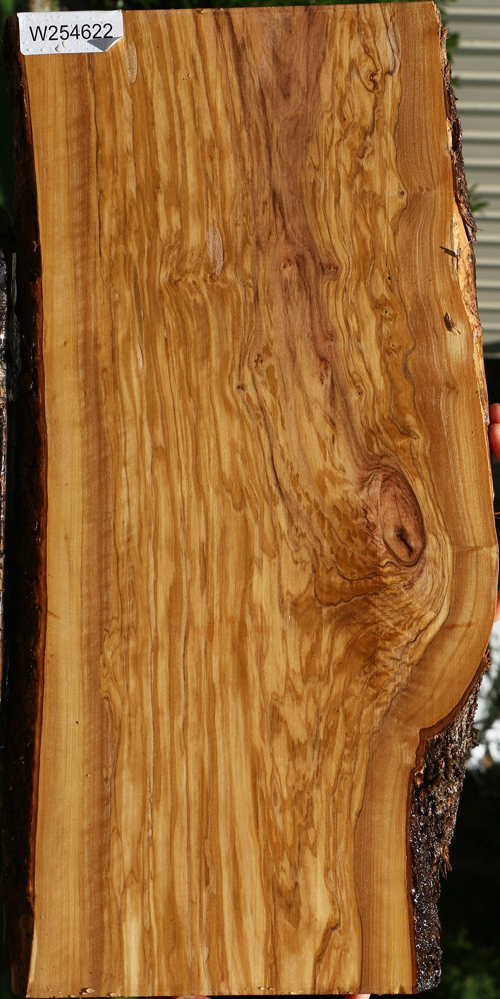 Extra Fancy Italian Olive Live Edge Lumber