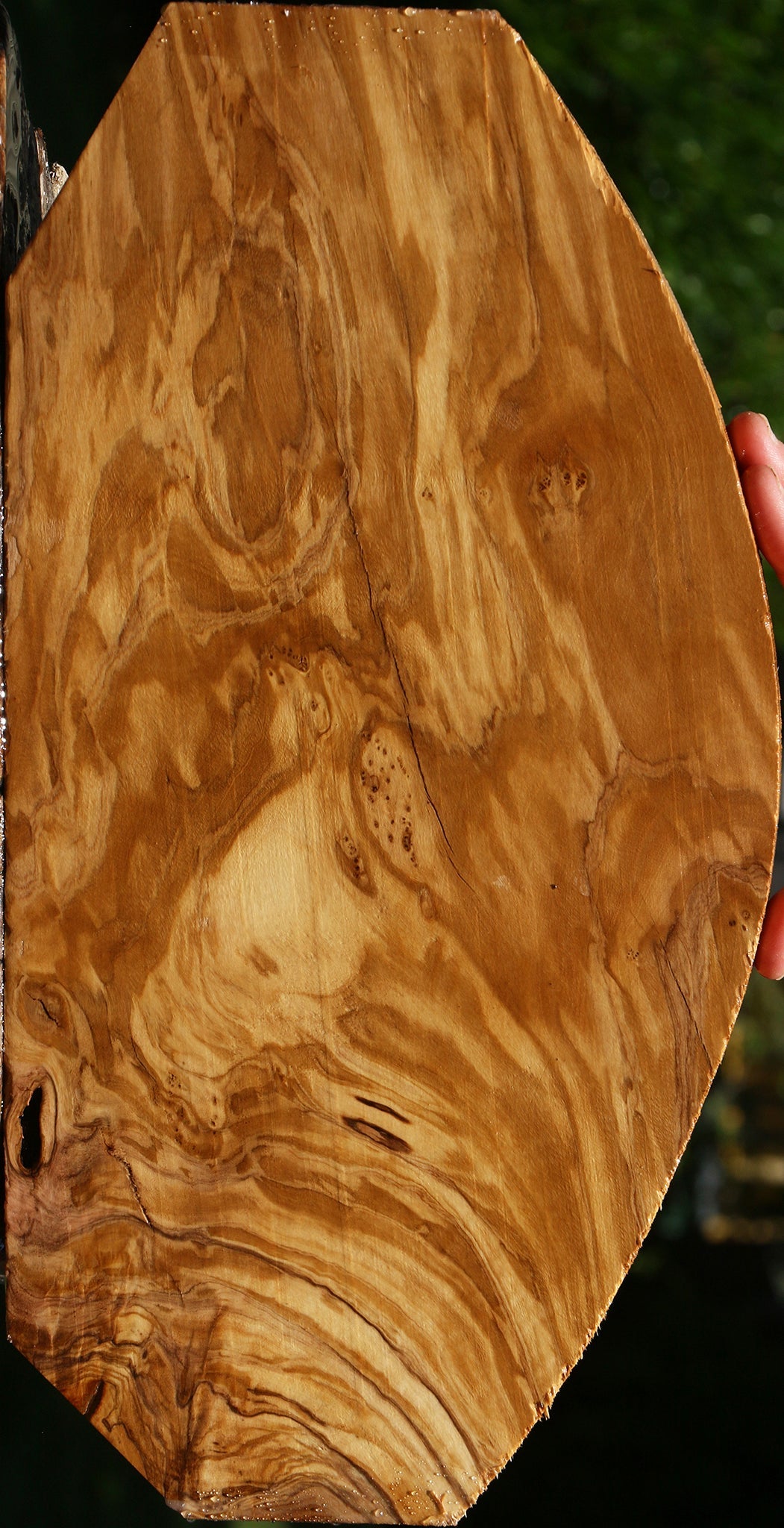 Exhibition Italian Olive Lumber