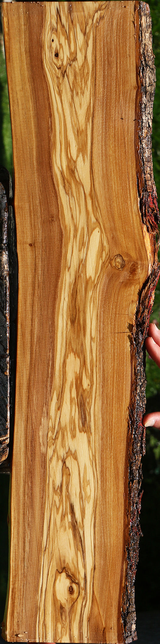Italian Olive Live Edge Lumber