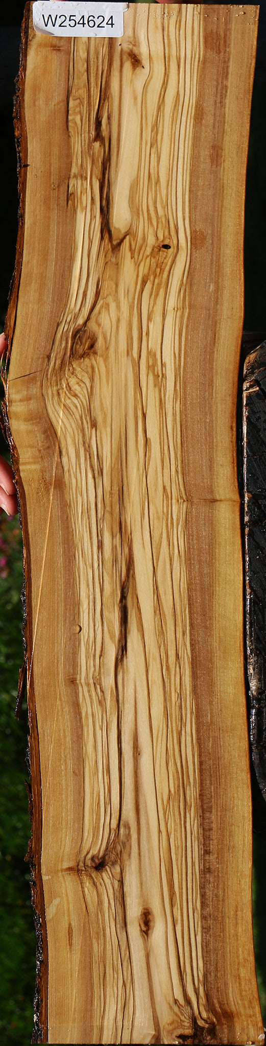 Italian Olive Live Edge Lumber