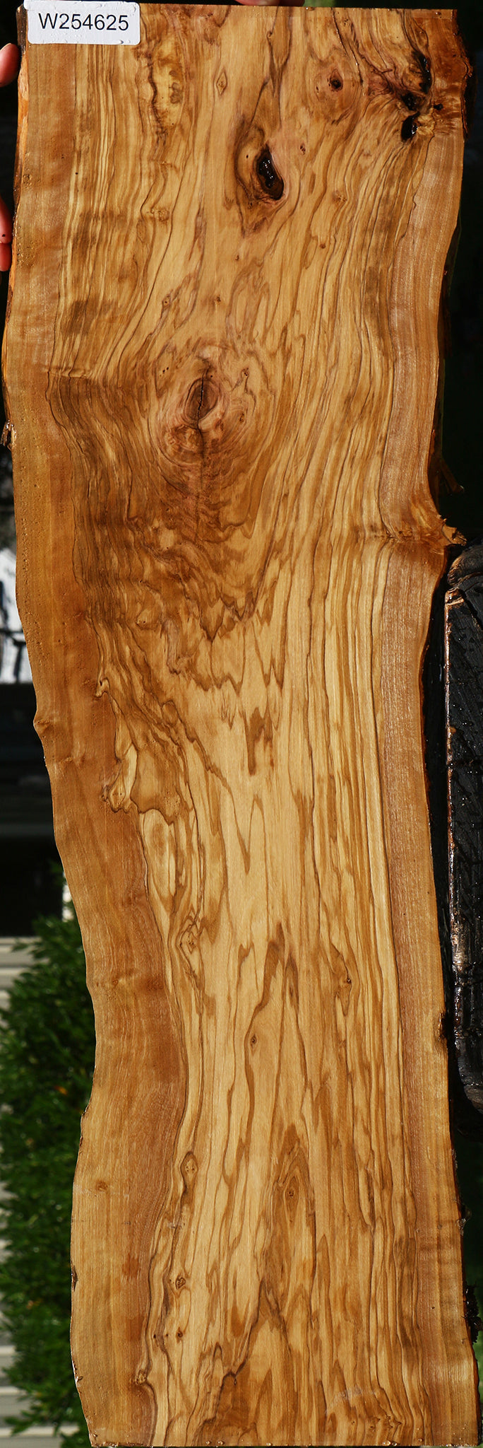 Extra Fancy Italian Olive Live Edge Lumber