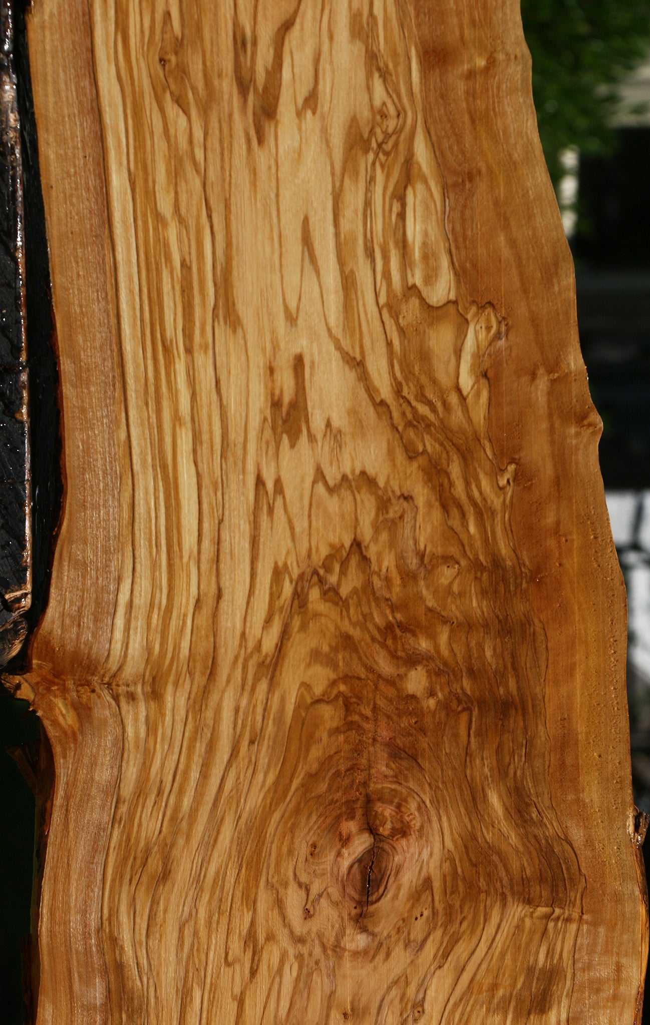Extra Fancy Italian Olive Live Edge Lumber