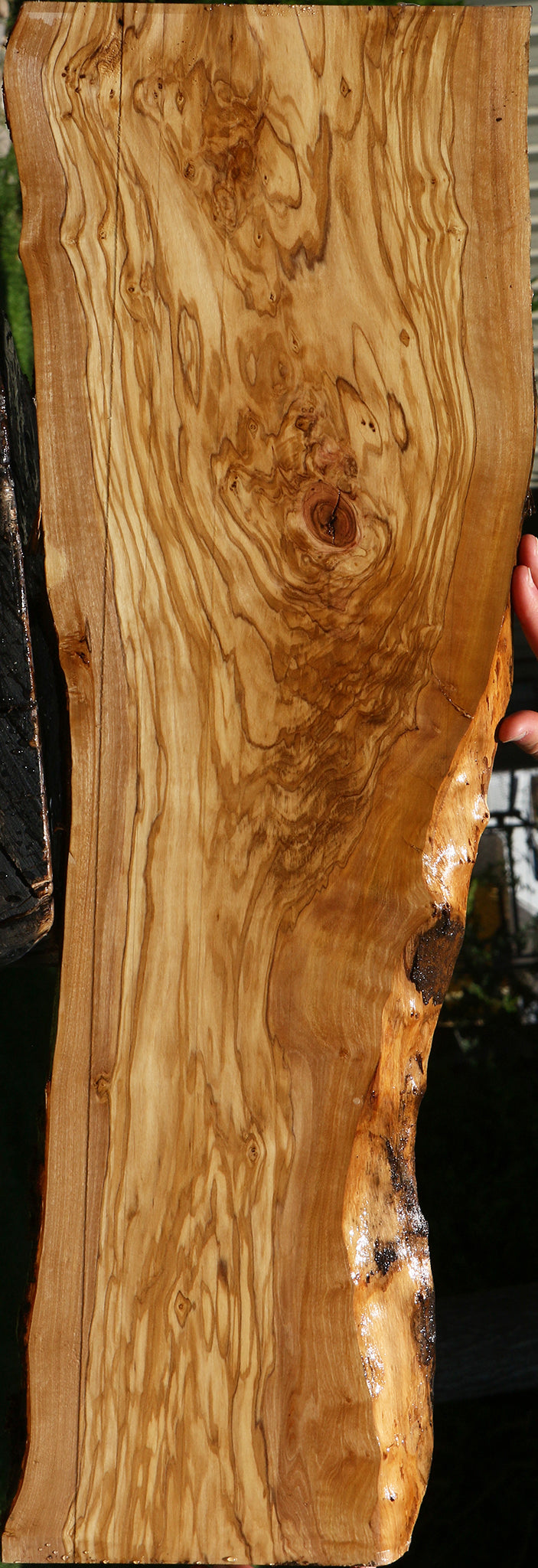 Extra Fancy Italian Olive Live Edge Lumber