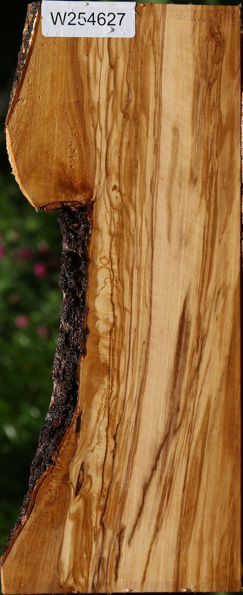 Figured Italian Olive Live Edge Lumber