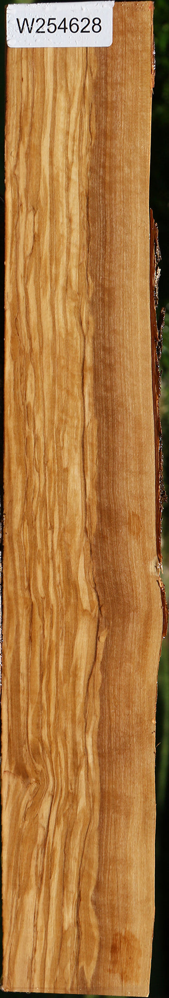 Figured Italian Olive Live Edge Lumber