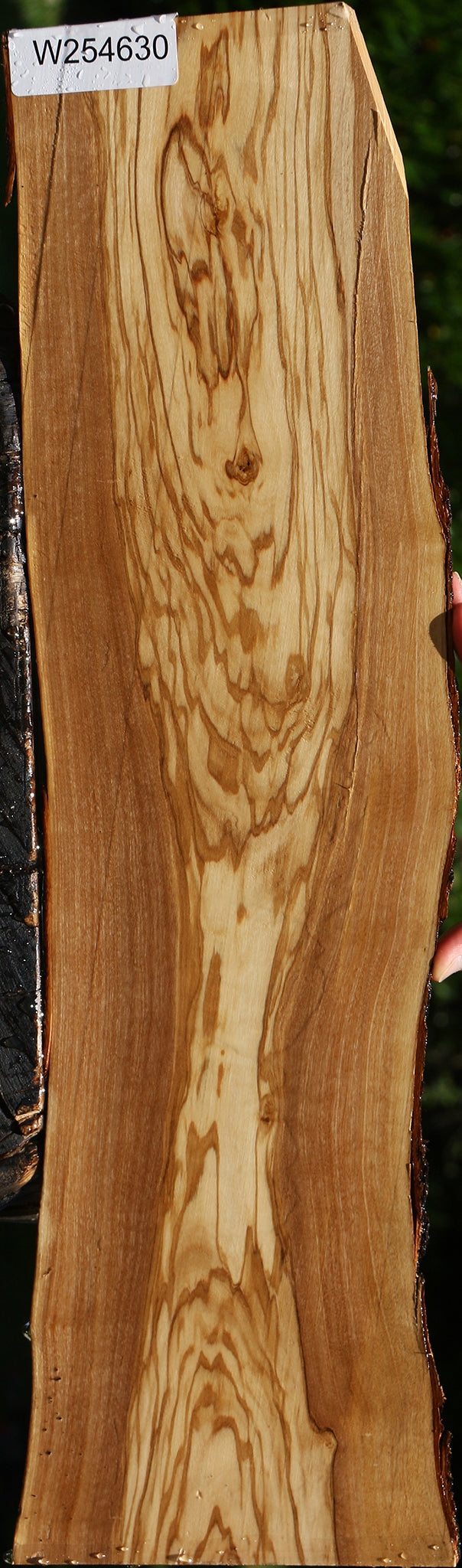 Italian Olive Live Edge Lumber