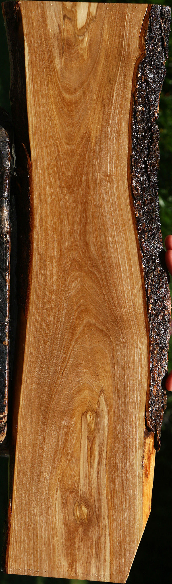 Italian Olive Live Edge Lumber