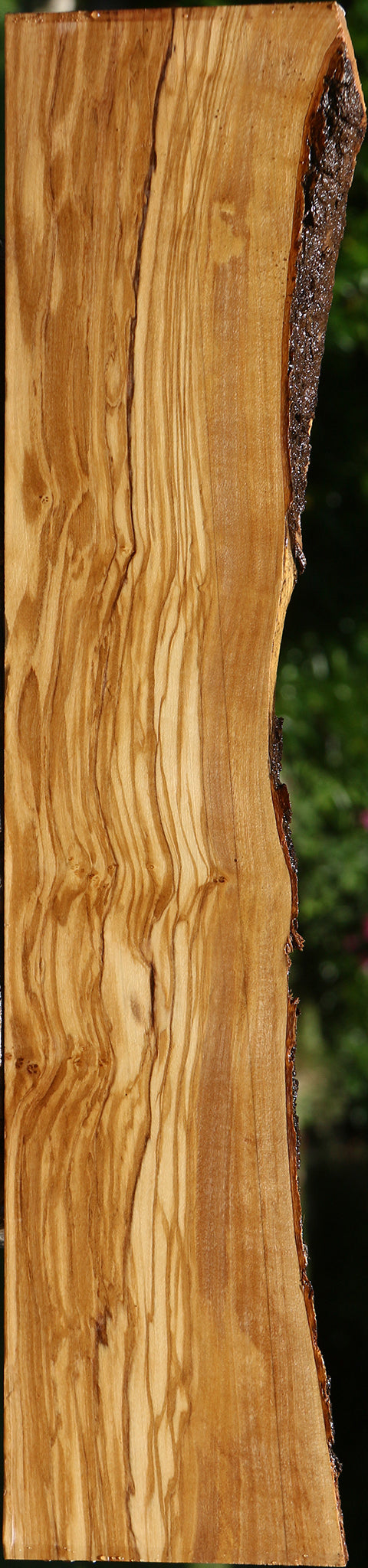 Extra Fancy Italian Olive Live Edge Lumber