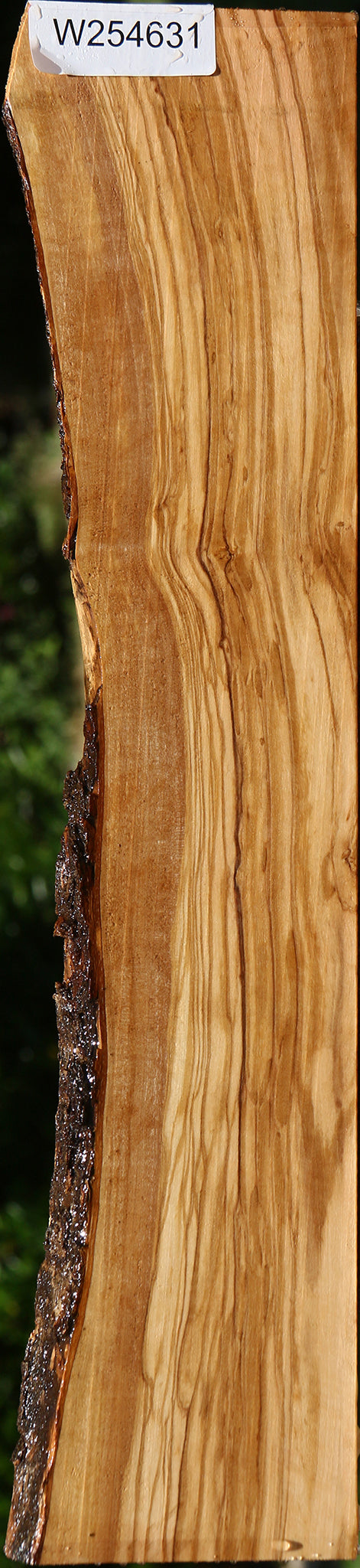 Extra Fancy Italian Olive Live Edge Lumber