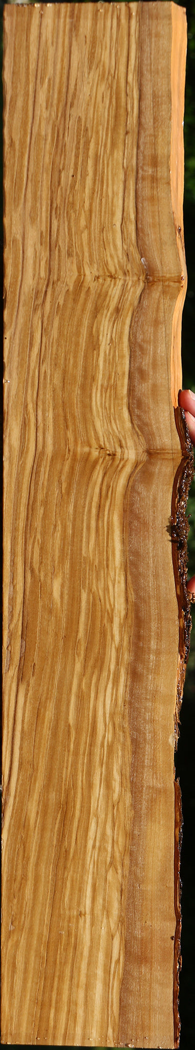 Extra Fancy Italian Olive Live Edge Lumber