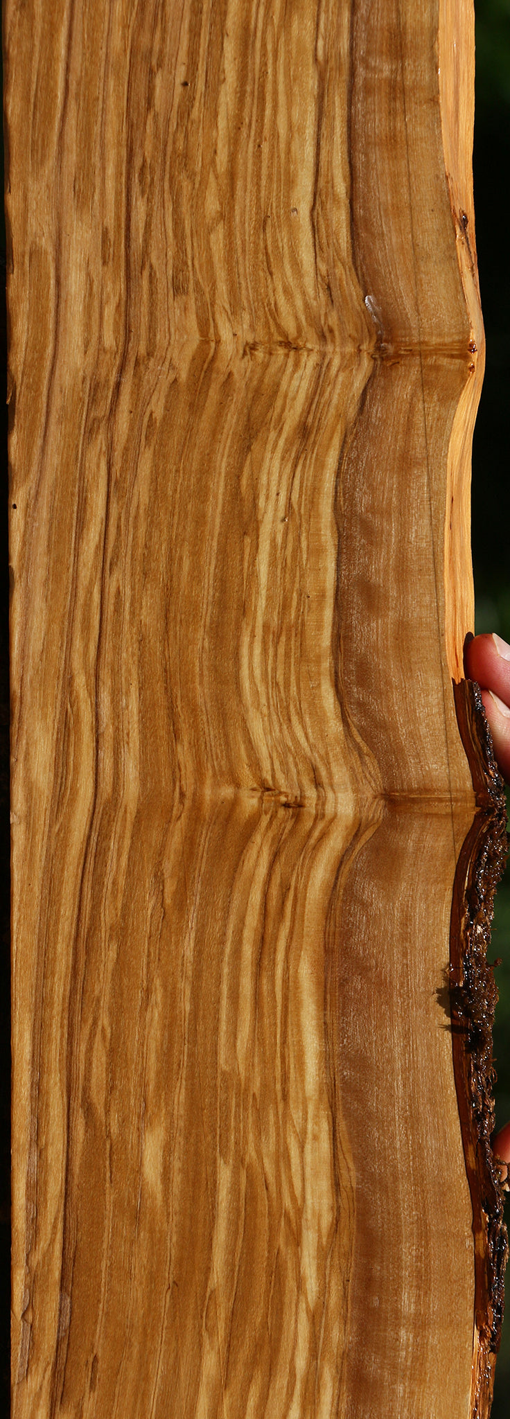 Extra Fancy Italian Olive Live Edge Lumber