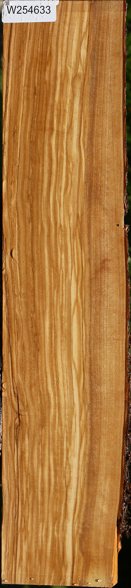 Figured Italian Olive Live Edge Lumber