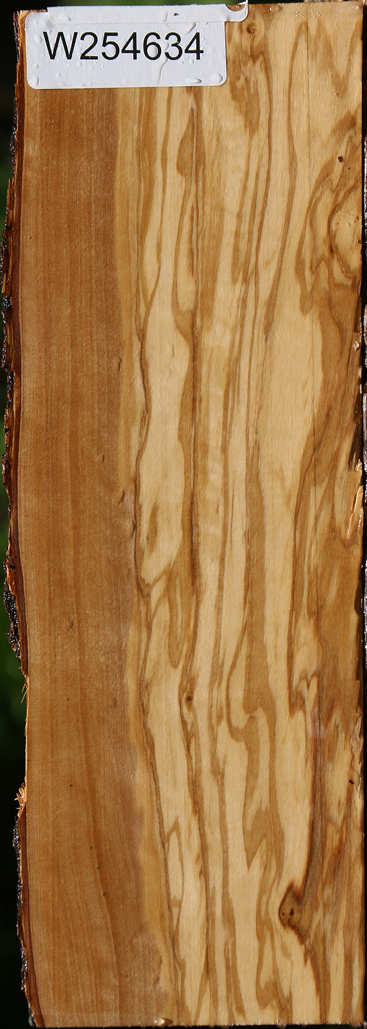 Figured Italian Olive Live Edge Lumber
