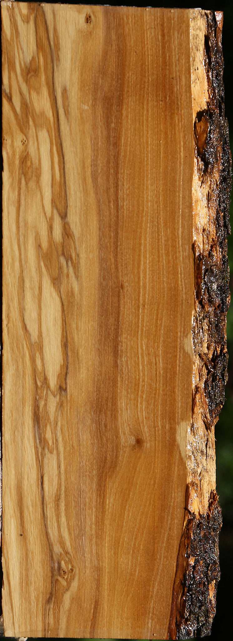 Figured Italian Olive Live Edge Lumber