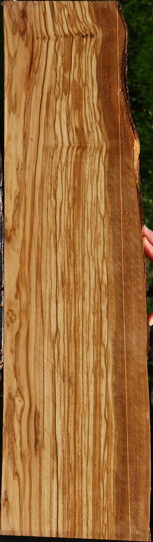 Extra Fancy Italian Olive Live Edge Lumber