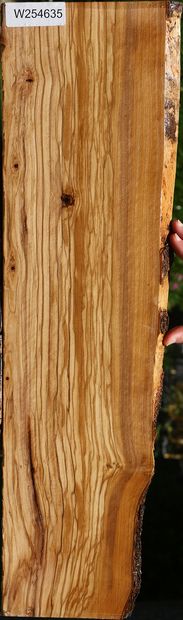 Extra Fancy Italian Olive Live Edge Lumber