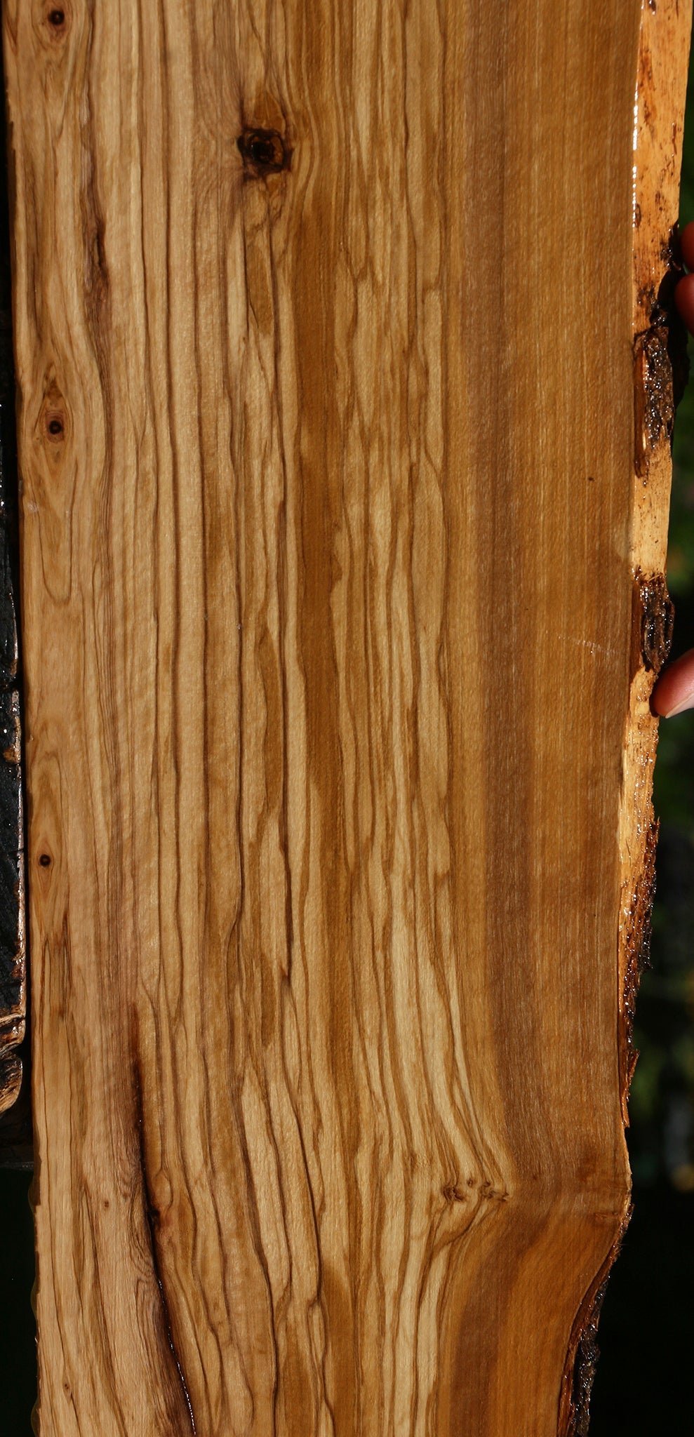Extra Fancy Italian Olive Live Edge Lumber