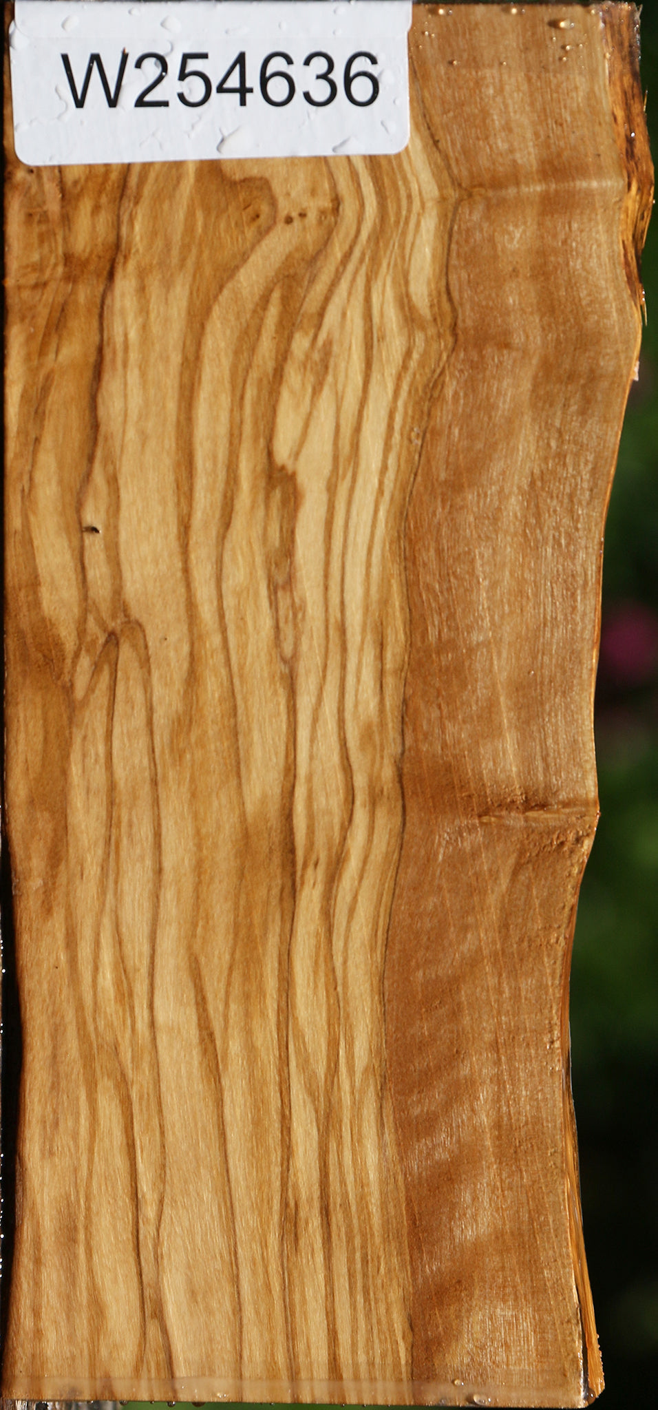 Figured Italian Olive Live Edge Lumber
