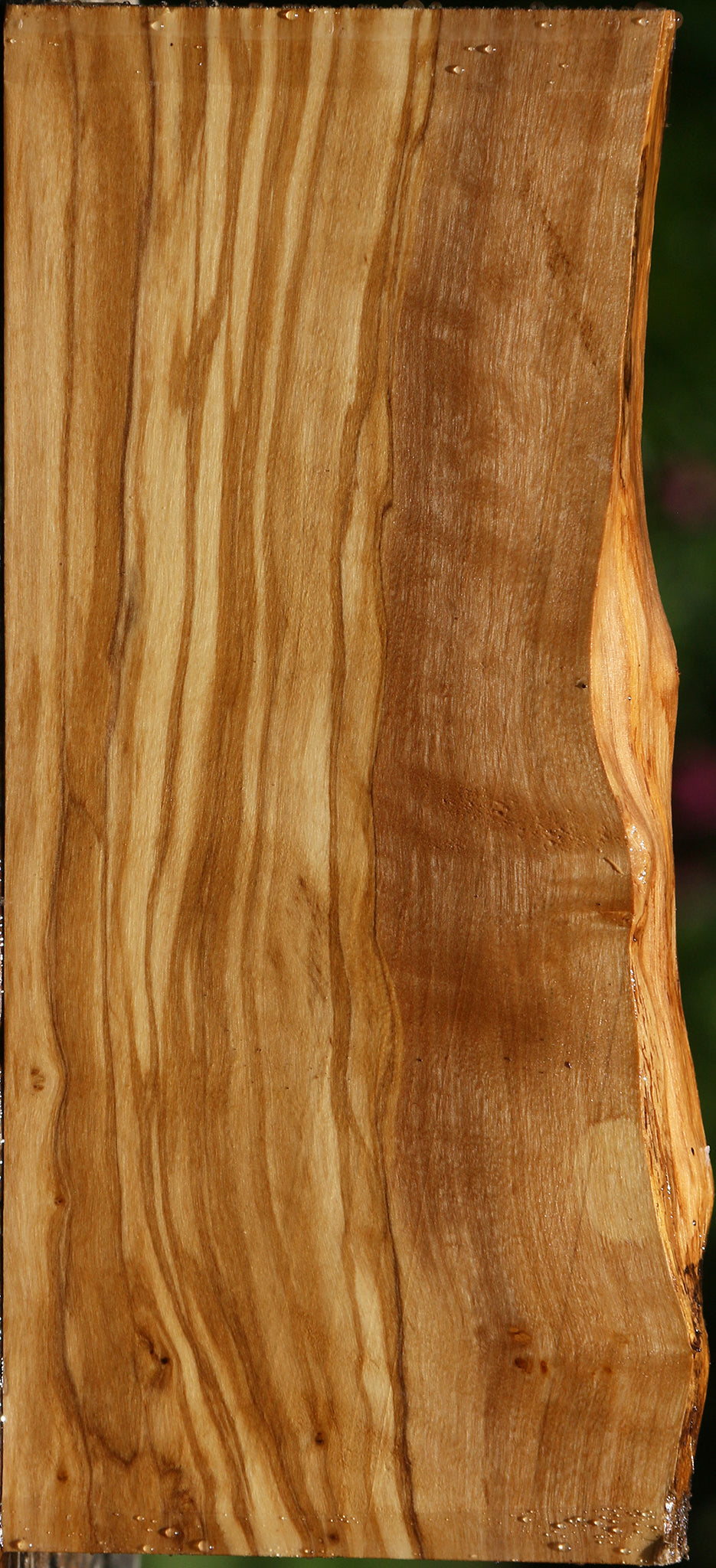 Figured Italian Olive Live Edge Lumber