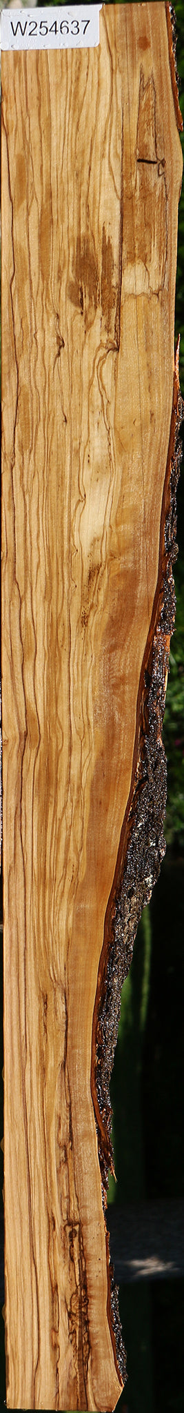 Figured Italian Olive Live Edge Lumber