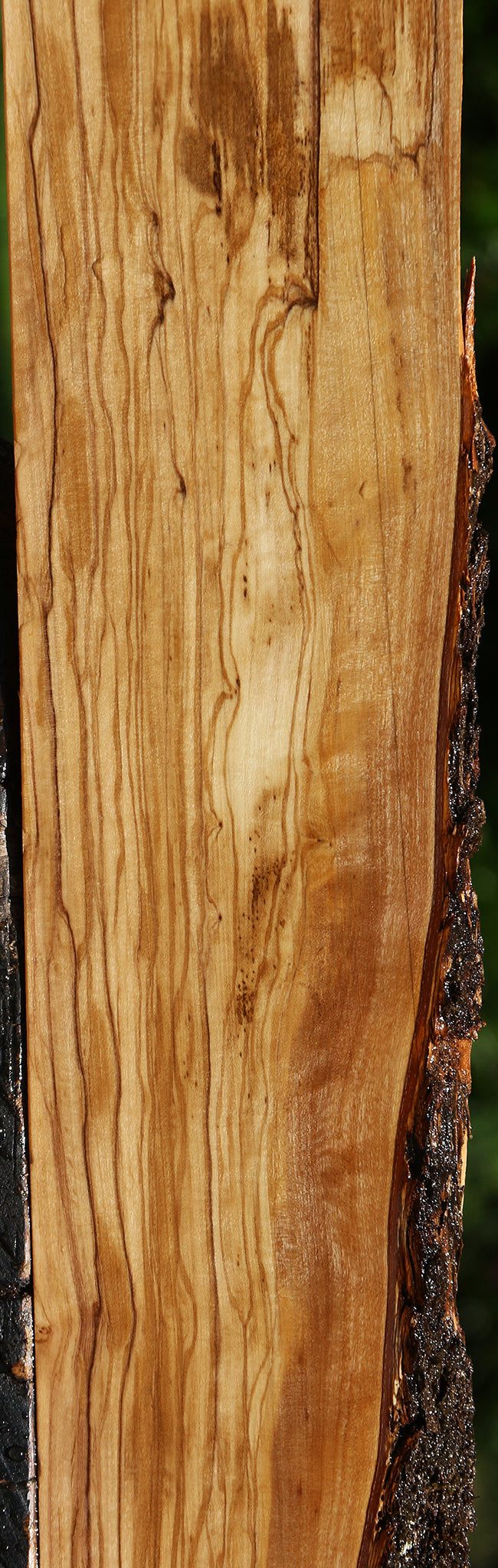 Figured Italian Olive Live Edge Lumber