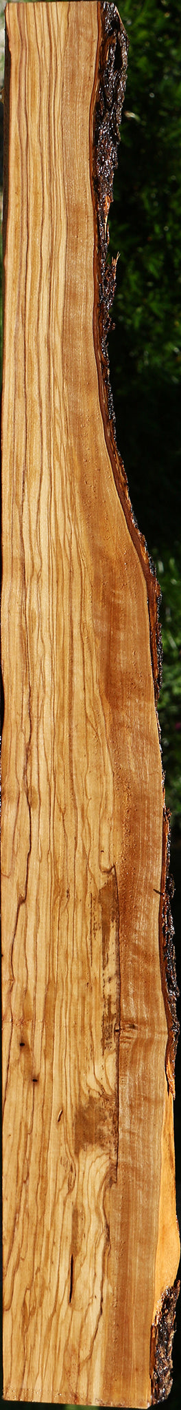 Figured Italian Olive Live Edge Lumber