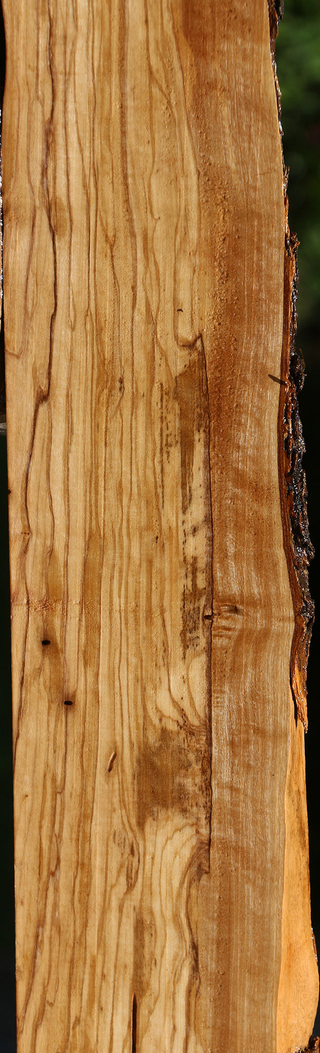 Figured Italian Olive Live Edge Lumber
