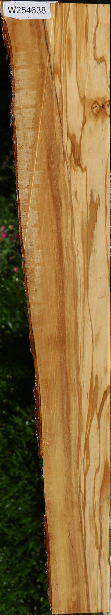 Italian Olive Live Edge Lumber