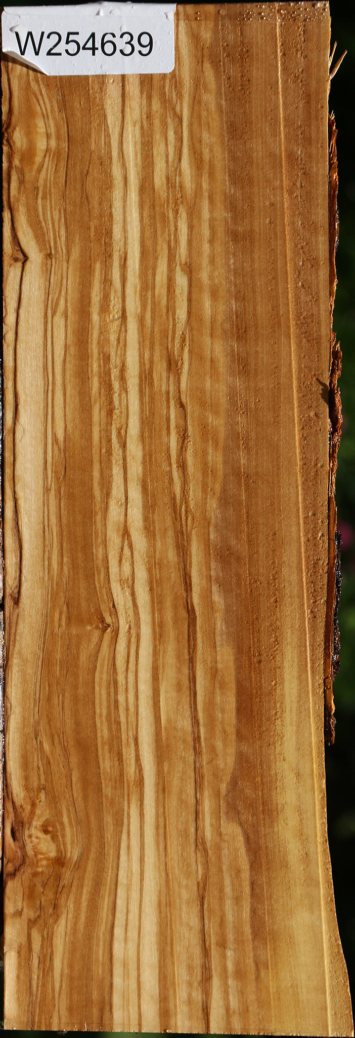 Figured Italian Olive Live Edge Lumber