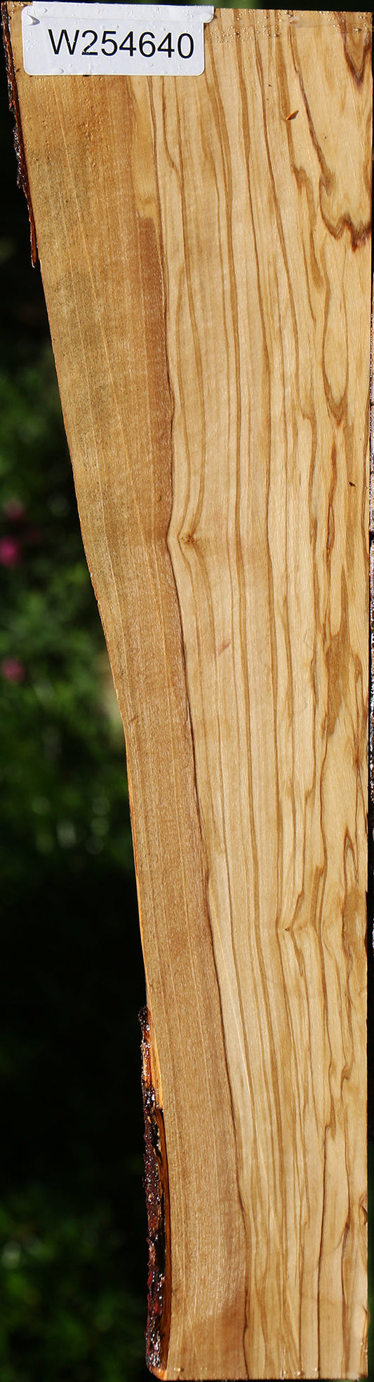 Italian Olive Live Edge Lumber